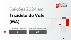 eleicoes-2024-em-trizidela-do-vale-(ma):-veja-os-candidatos-a-prefeito-e-a-vereador