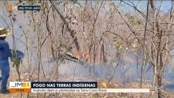 focos-de-incendio-atingem-terras-indigenas-no-maranhao;-fogo-afeta-animais-e-plantacoes