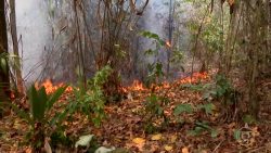 incendio-na-terra-indigena-alto-turiacu-no-ma-pode-ser-controlado-em-ate-quatro-dias,-diz-corpo-de-bombeiros