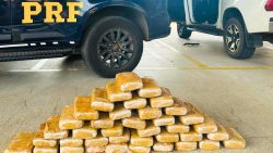 casal-e-preso-por-transportar-42-kg-de-maconha-tipo-skunk-escondidos-em-porta-de-caminhonete-no-ma