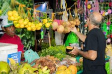 festival-do-babacu-e-o-concurso-da-melhor-farinha-d´agua-na-2a-edicao-da-femaf